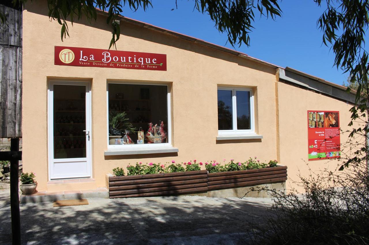 Gites Et Roulottes Au Domaine De La Trille Sainte-Foi Екстериор снимка