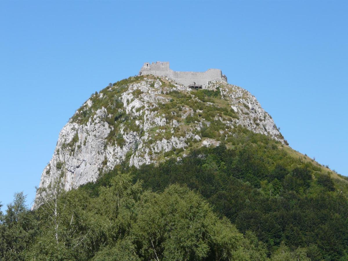Gites Et Roulottes Au Domaine De La Trille Sainte-Foi Екстериор снимка